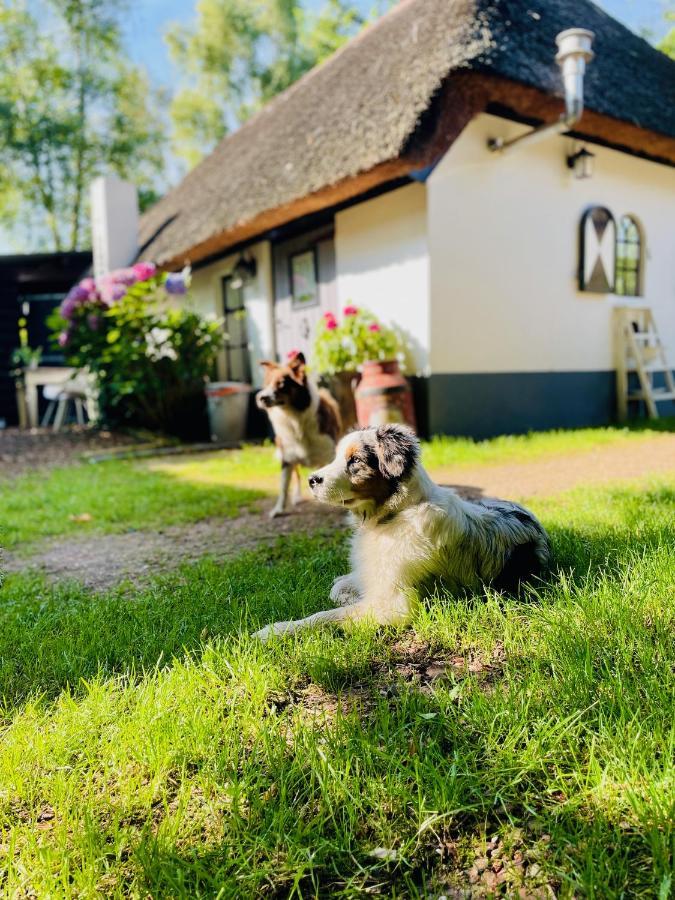 Bakhuisje Op De Veluwe Heerde ภายนอก รูปภาพ