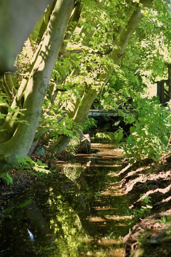 Bakhuisje Op De Veluwe Heerde ภายนอก รูปภาพ